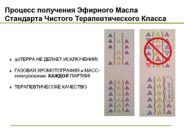 Процесс получения Эфирного Масла Стандарта Чистого Терапевтического Класса S до. ТЕРРА НЕ ДЕЛАЕТ ИСКЛЮЧЕНИЙ!