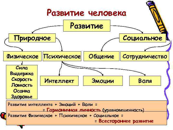 Развитие человека Развитие Природное Физическое Психическое Сила Выдержка Скорость Ловкость Осанка Здоровье Интеллект Социальное