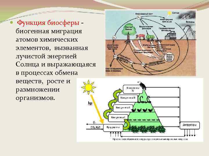  Функция биосферы - биогенная миграция атомов химических элементов, вызванная лучистой энергией Солнца и