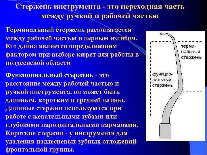 Стержень инструмента - это переходная часть между ручкой и рабочей частью Терминальный стержень располагается