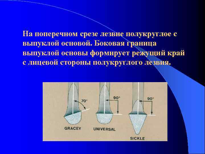 На поперечном срезе лезвие полукруглое с выпуклой основой. Боковая граница выпуклой основы формирует режущий