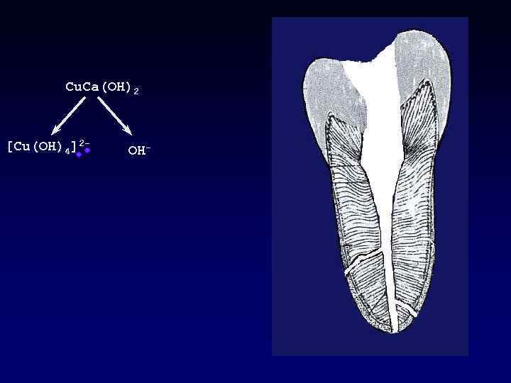 Cu. Ca(OH)2 [Cu(OH)4]2 - OH- 