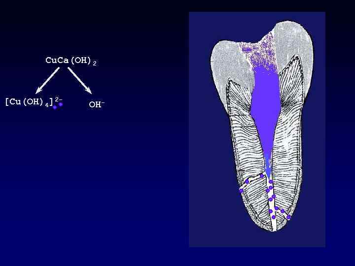 Cu. Ca(OH)2 [Cu(OH)4]2 - OH- 