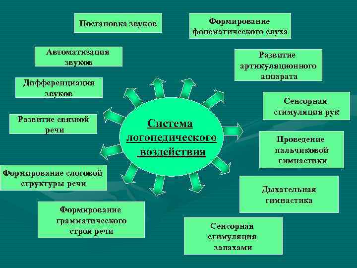 Постановка звуков Формирование фонематического слуха Автоматизация звуков Развитие артикуляционного аппарата Дифференциация звуков Развитие связной