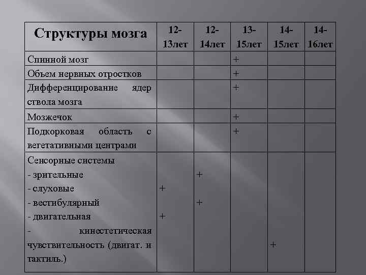 1213 лет 131415 лет + + + + + + Структуры мозга Спинной мозг