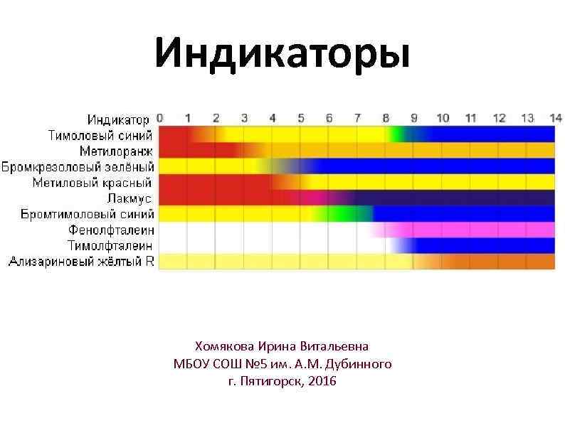 Индикаторы Хомякова Ирина Витальевна МБОУ СОШ № 5 им. А. М. Дубинного г. Пятигорск,