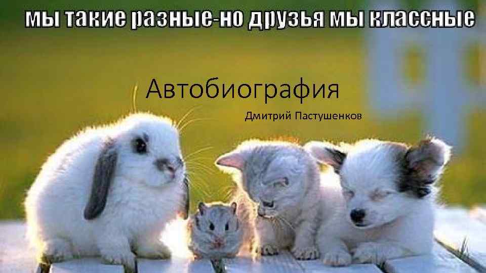 Автобиография Дмитрий Пастушенков 