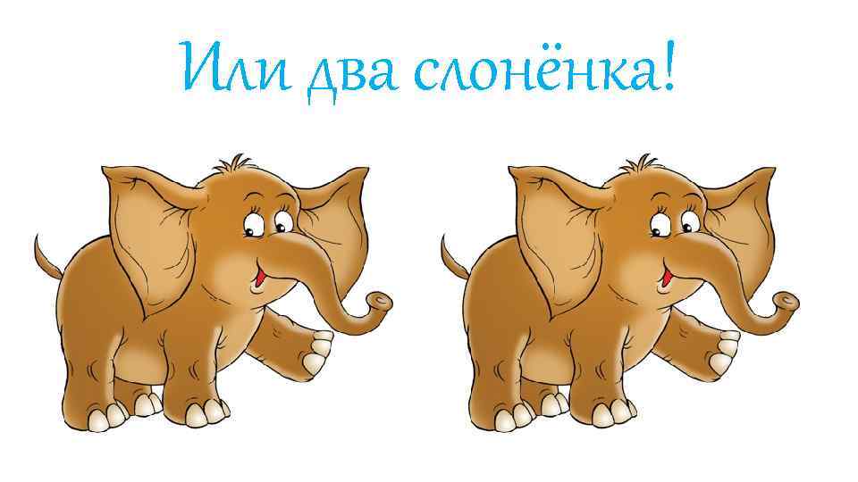 Или два слонёнка! 