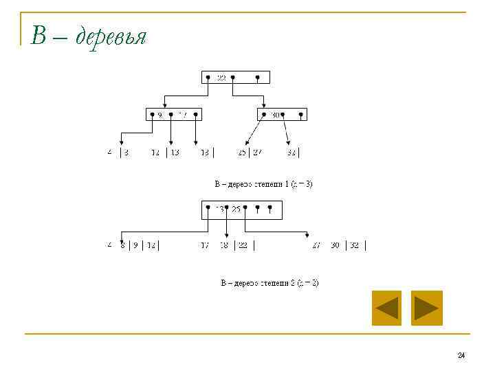 В – деревья 24 