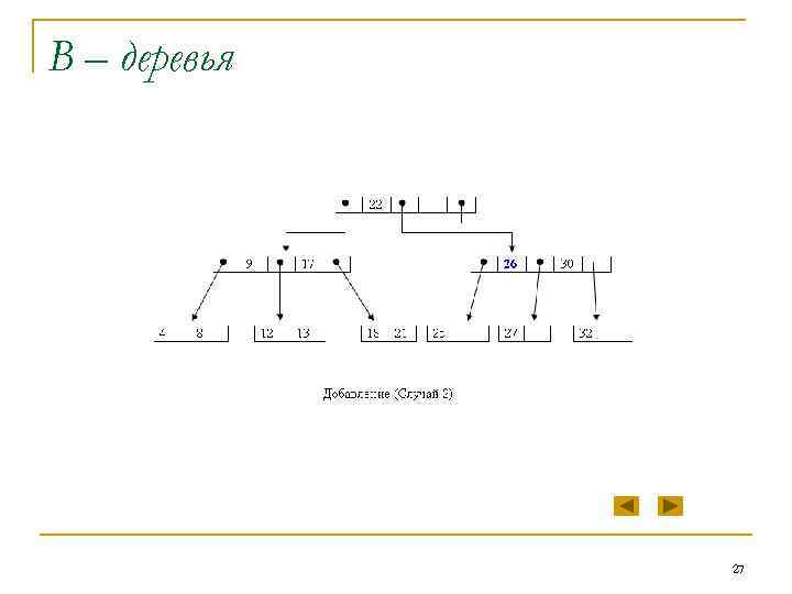 В – деревья 27 