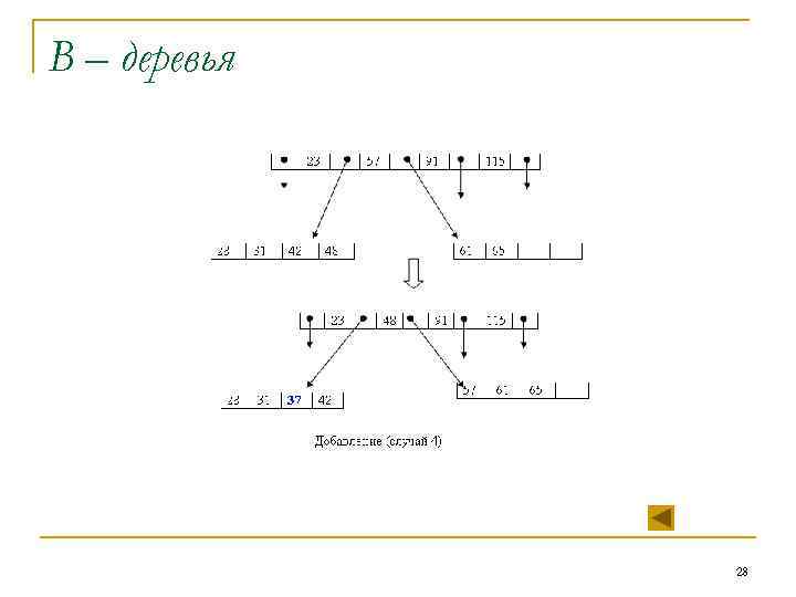 В – деревья 28 