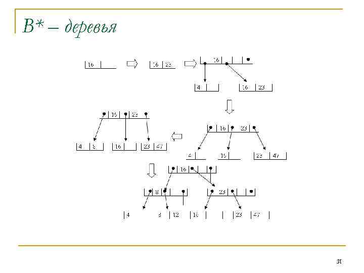 В* – деревья 31 