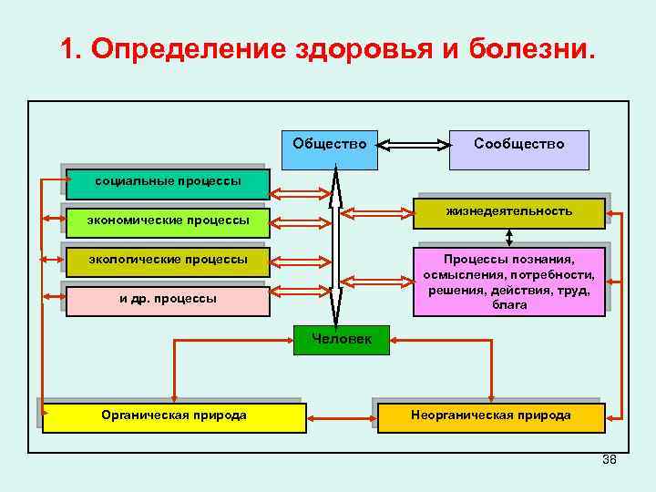 1. Определение здоровья и болезни. Общество Сообщество социальные процессы жизнедеятельность экономические процессы экологические процессы