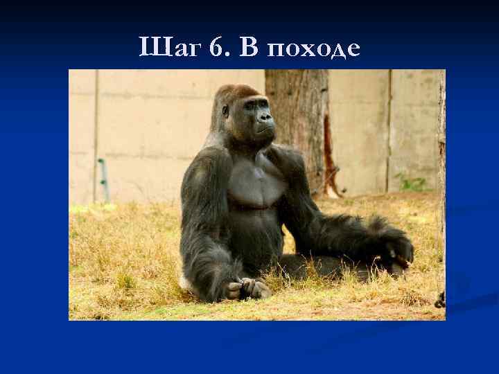 Шаг 6. В походе 