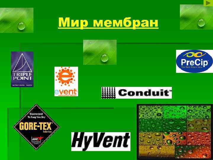 Мир мембран 