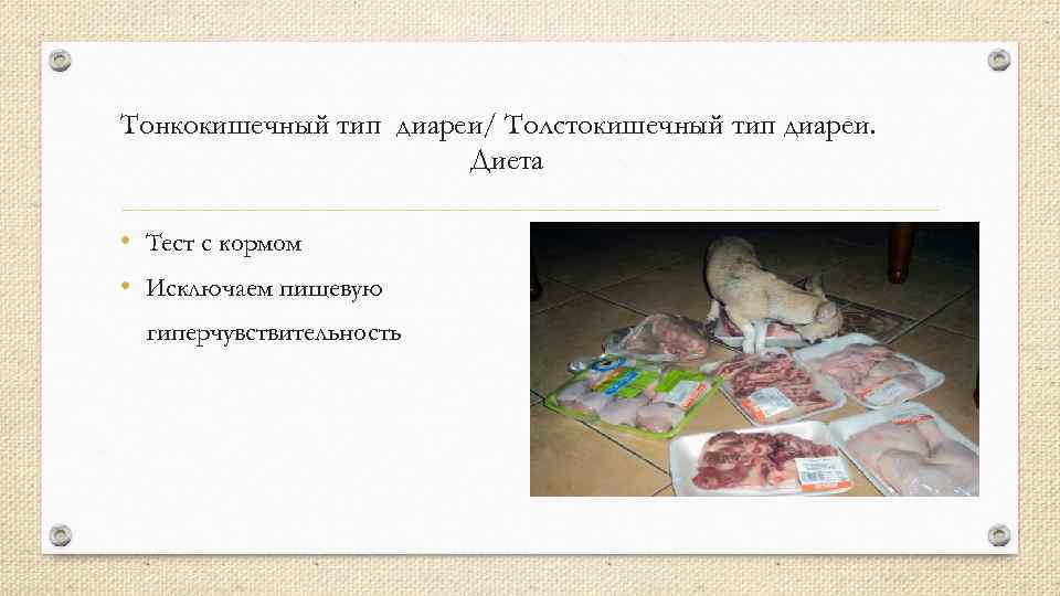 Тонкокишечный тип диареи/ Толстокишечный тип диареи. Диета • Тест с кормом • Исключаем пищевую