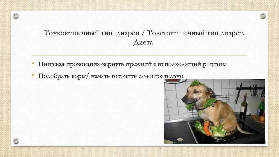 Тонкокишечный тип диареи / Толстокишечный тип диареи. Диета • Пищевая провокация-вернуть прежний « неподходящий