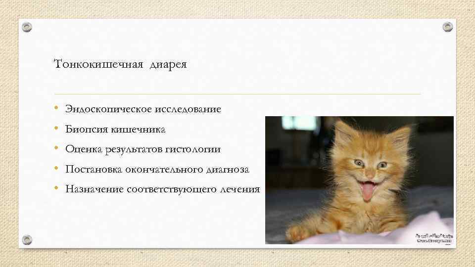 Тонкокишечная диарея • • • Эндоскопическое исследование Биопсия кишечника Оценка результатов гистологии Постановка окончательного