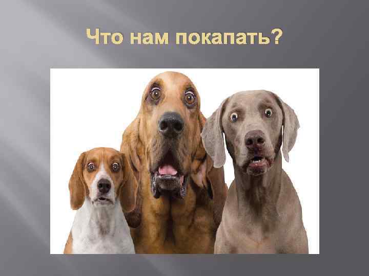 Что нам покапать? 