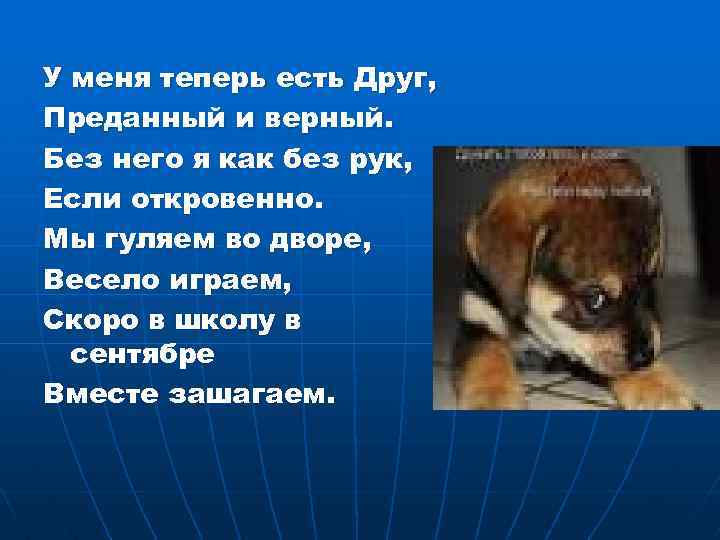 У меня теперь есть Друг, Преданный и верный. Без него я как без рук,