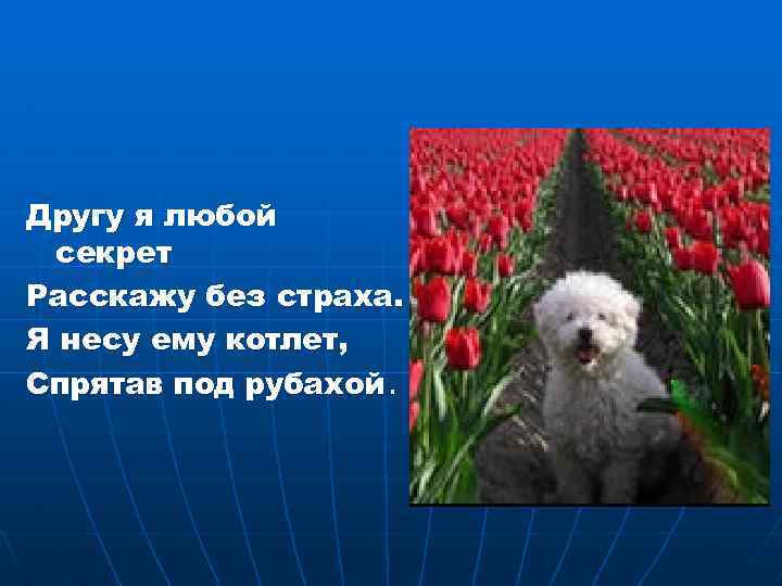 Другу я любой секрет Расскажу без страха. Я несу ему котлет, Спрятав под рубахой.