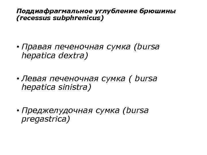 Поддиафрагмальное углубление брюшины (recessus subphrenicus) • Правая печеночная сумка (bursa hepatica dextra) • Левая