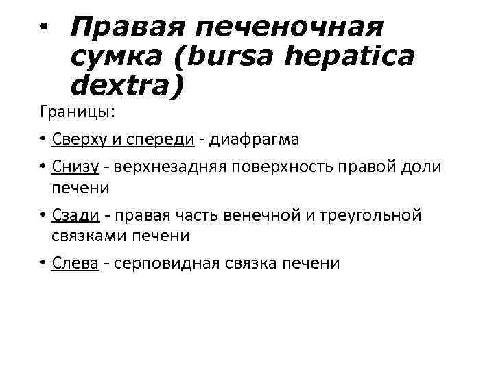  • Правая печеночная сумка (bursa hepatica dextra) Границы: • Сверху и спереди -