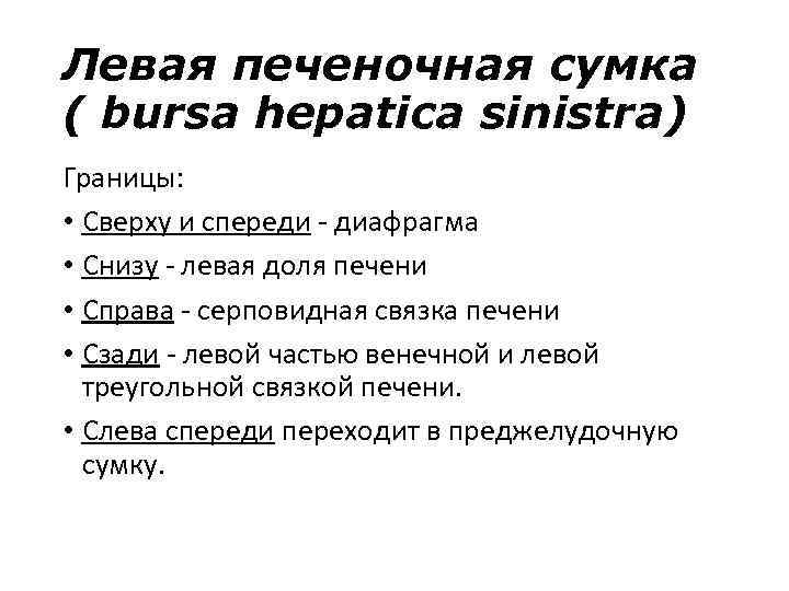 Левая печеночная сумка ( bursa hepatica sinistra) Границы: • Сверху и спереди - диафрагма