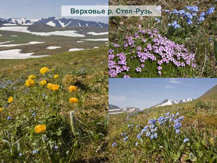 Верховье р. Степ-Рузь 