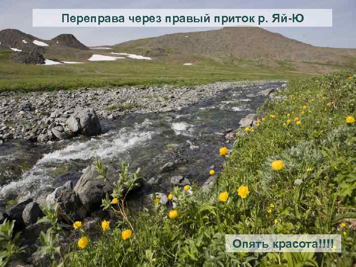 Переправа через правый приток р. Яй-Ю Опять красота!!!! 