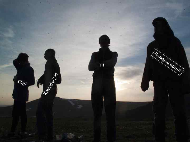 Ко ма р ма Ко Ой !! ры ? ? ? !!! ы ес