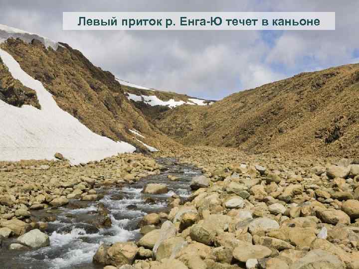Левый приток р. Енга-Ю течет в каньоне 