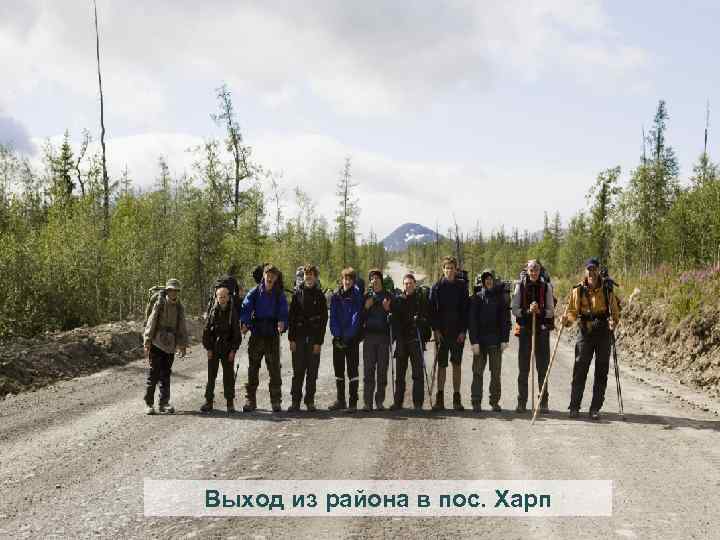 Авито харп. Харп (посёлок городского типа). ЯНАО поселок Харп колония. Школа п Харп. Харп население.