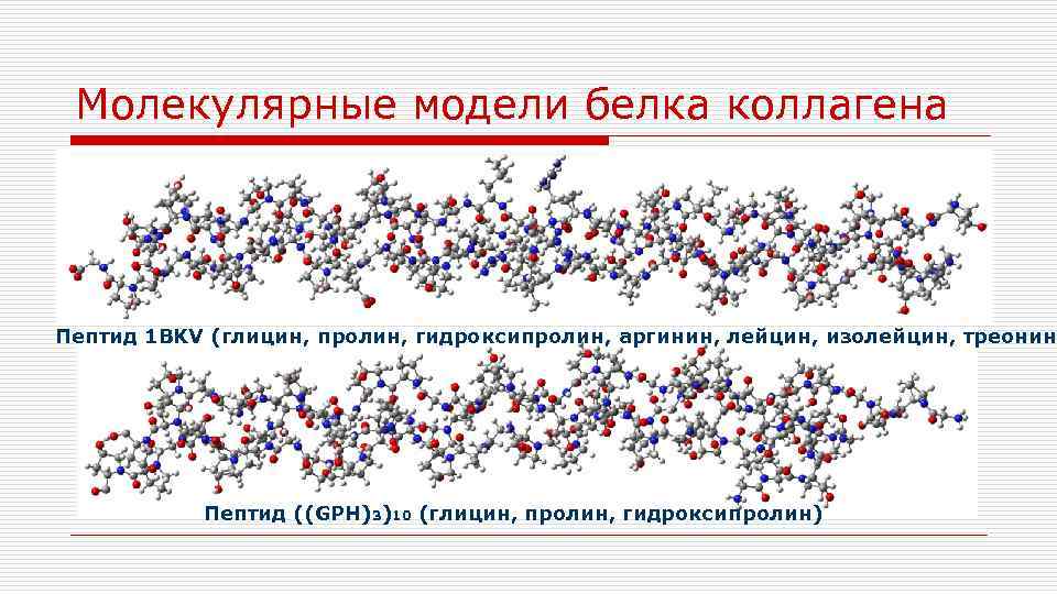 Молекулярные модели белка коллагена Пептид 1 BKV (глицин, пролин, гидроксипролин, аргинин, лейцин, изолейцин, треонин