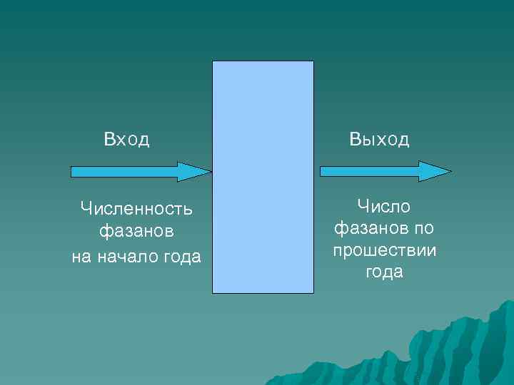 Вход Численность фазанов на начало года Выход Число фазанов по прошествии года 