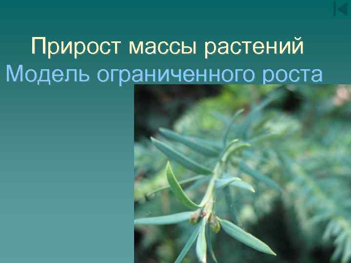 Прирост массы растений Модель ограниченного роста 