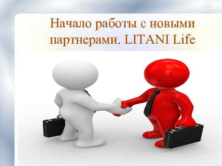 Начало работы с новыми партнерами. LITANI Life 