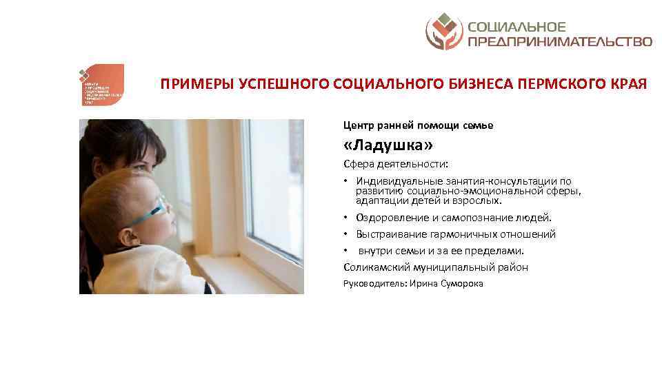 ПРИМЕРЫ УСПЕШНОГО СОЦИАЛЬНОГО БИЗНЕСА ПЕРМСКОГО КРАЯ Центр ранней помощи семье «Ладушка» Сфера деятельности: •
