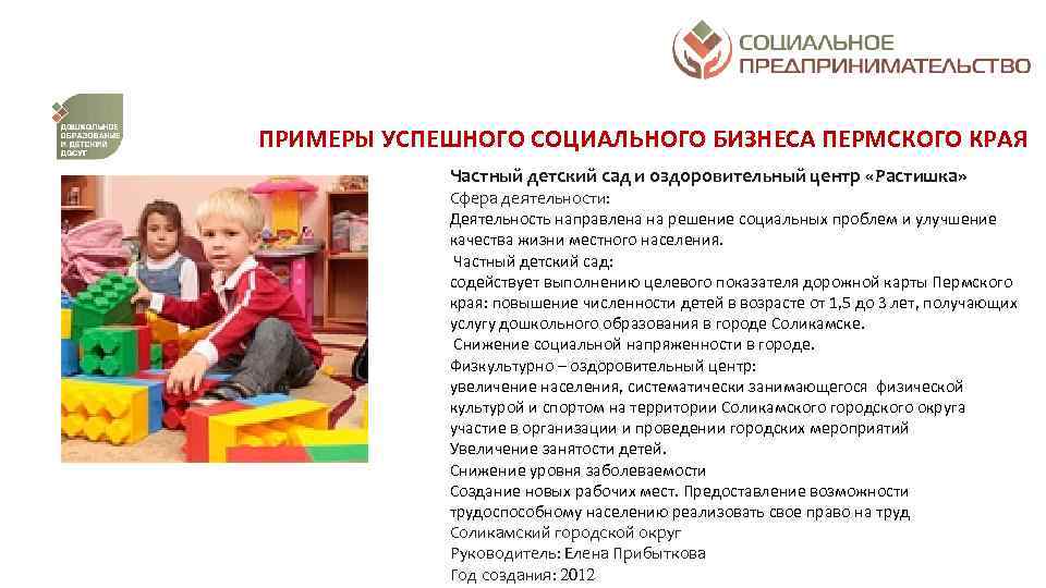 ПРИМЕРЫ УСПЕШНОГО СОЦИАЛЬНОГО БИЗНЕСА ПЕРМСКОГО КРАЯ Частный детский сад и оздоровительный центр «Растишка» Сфера