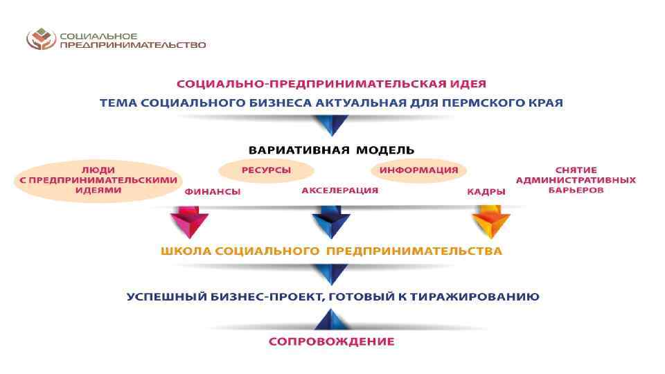 Проект по социальному предпринимательству готовый проект