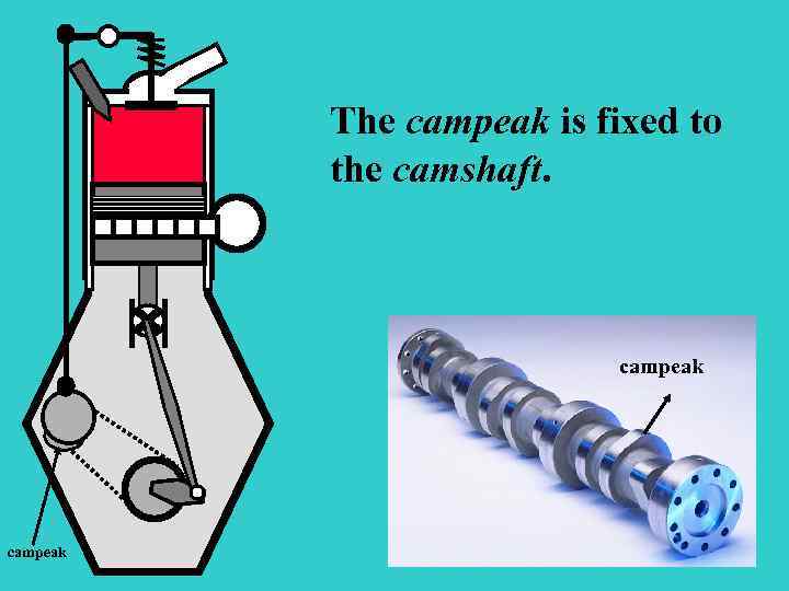The campeak is fixed to the camshaft. campeak S campeak 
