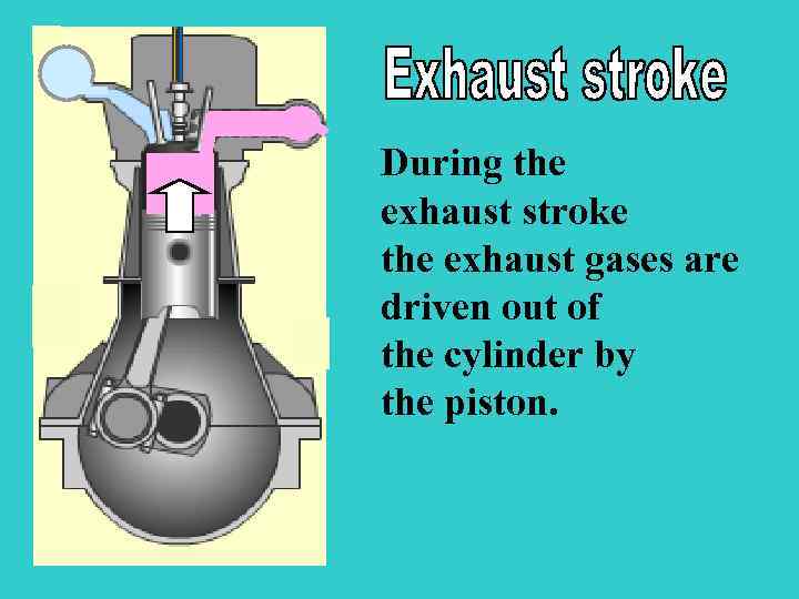 During the exhaust stroke the exhaust gases are driven out of the cylinder by