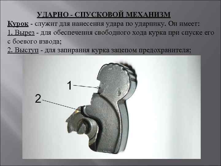 УДАРНО - СПУСКОВОЙ МЕХАНИЗМ Курок - служит для нанесения удара по ударнику. Он имеет: