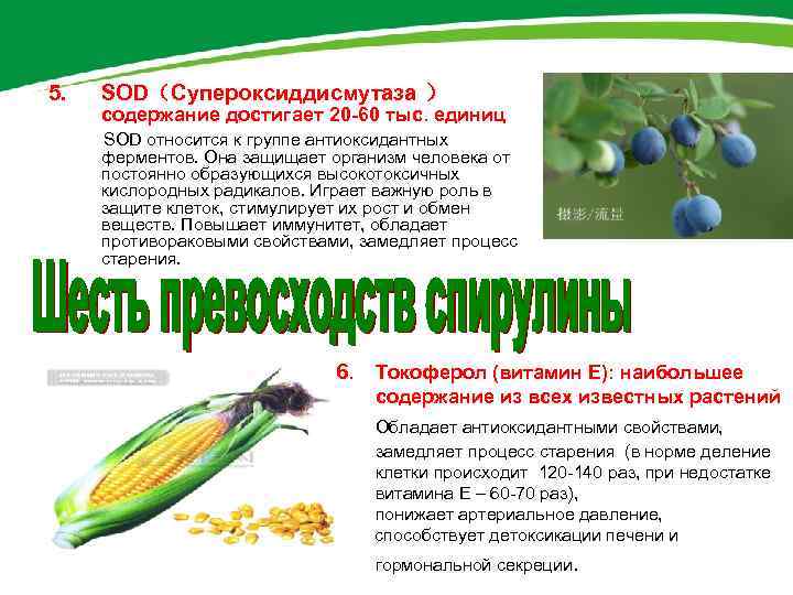 5. SOD（Супероксиддисмутаза ） содержание достигает 20 -60 тыс. единиц SOD относится к группе антиоксидантных