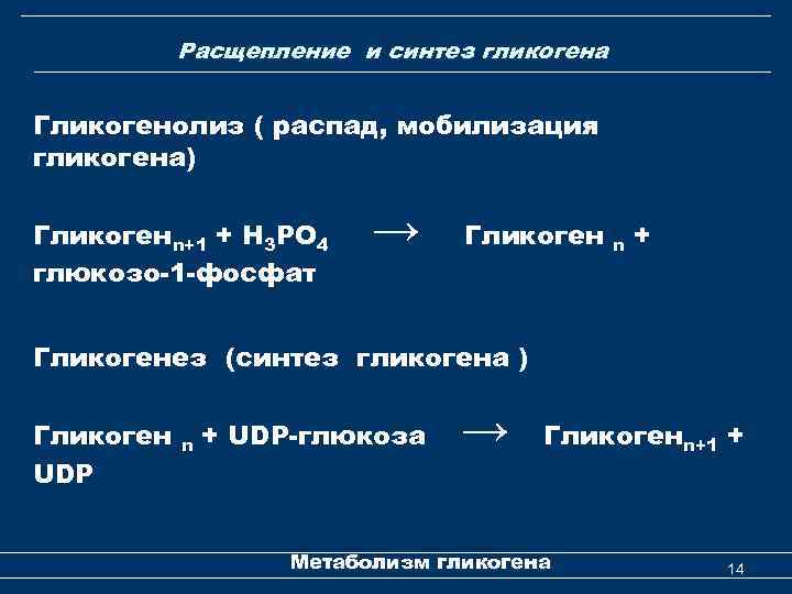 Расщепление и синтез гликогена Гликогенолиз ( распад, мобилизация гликогена) Гликогенn+1 + Н 3 РО