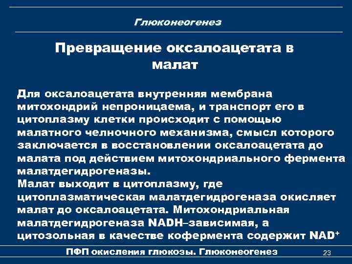 Глюконеогенез Превращение оксалоацетата в малат Для оксалоацетата внутренняя мембрана митохондрий непроницаема, и транспорт его