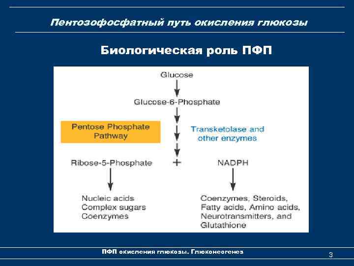 Пентозофосфатный путь окисления глюкозы Биологическая роль ПФП окисления глюкозы. Глюконеогенез 3 