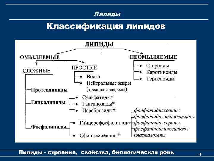 Липиды Классификация липидов Липиды - строение, свойства, биологическая роль 4 