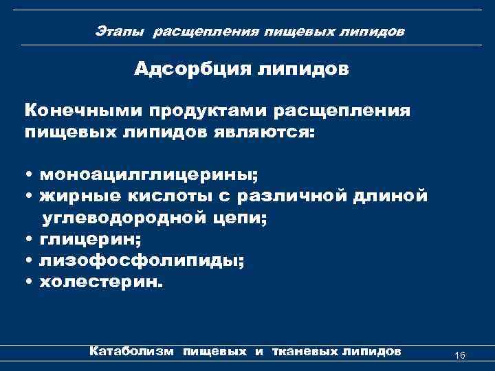 Этапы расщепления пищевых липидов Адсорбция липидов Конечными продуктами расщепления пищевых липидов являются: • моноацилглицерины;