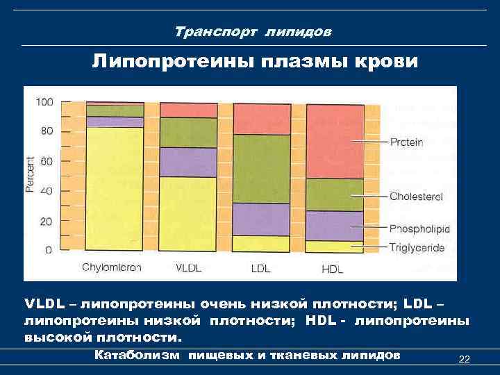 Транспорт липидов Липопротеины плазмы крови VLDL – липопротеины очень низкой плотности; LDL – липопротеины